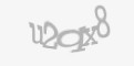 Защитный код