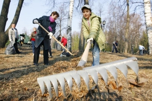 Все на субботник!
